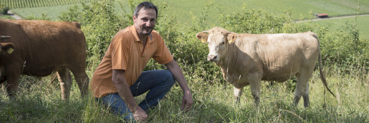 Friedrich Hack setzt in seiner Hofmetzgerei auf regionales Fleisch. Mann auf einer Wiese mit Kühen im Hintergrund