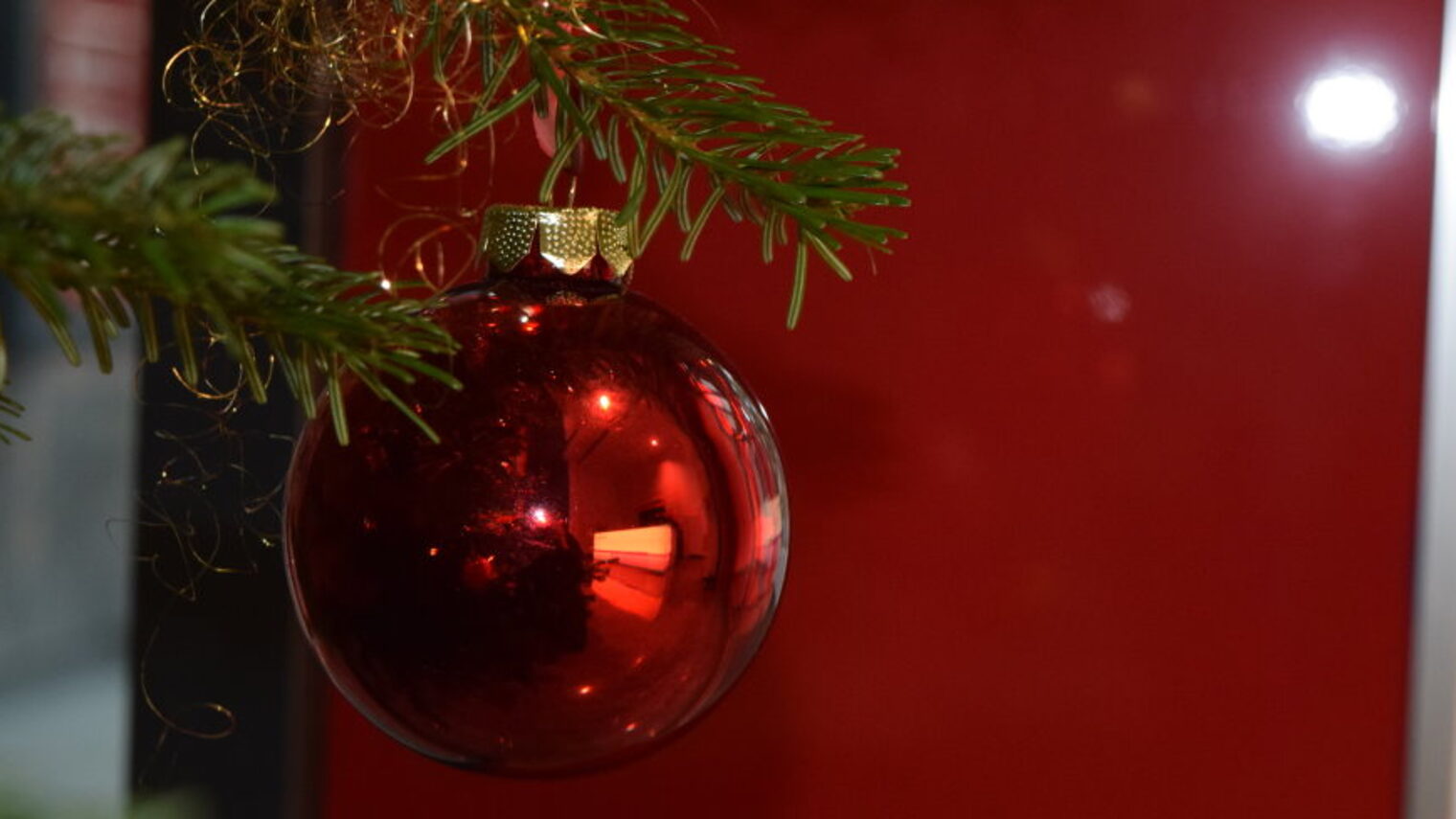 Rote Weihnachtskugel am Tannenbaum.