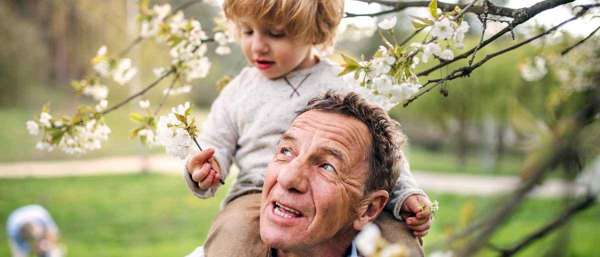 Mit einer nachhaltigen Entwicklung die Chancen künftiger Generationen sichern. Ein älterer Mann trägt einen kleinen Jungen auf seinen Schultern, damit dieser Zweige von einem blühenden Baum pflücken kann.
