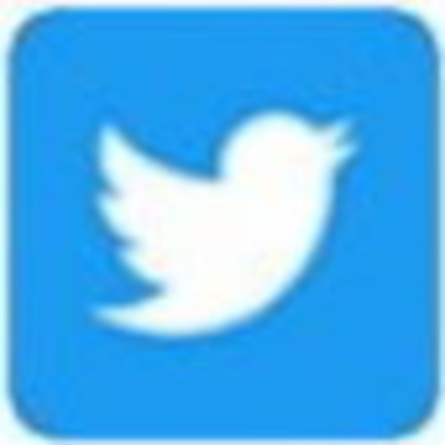 Twitter Logo