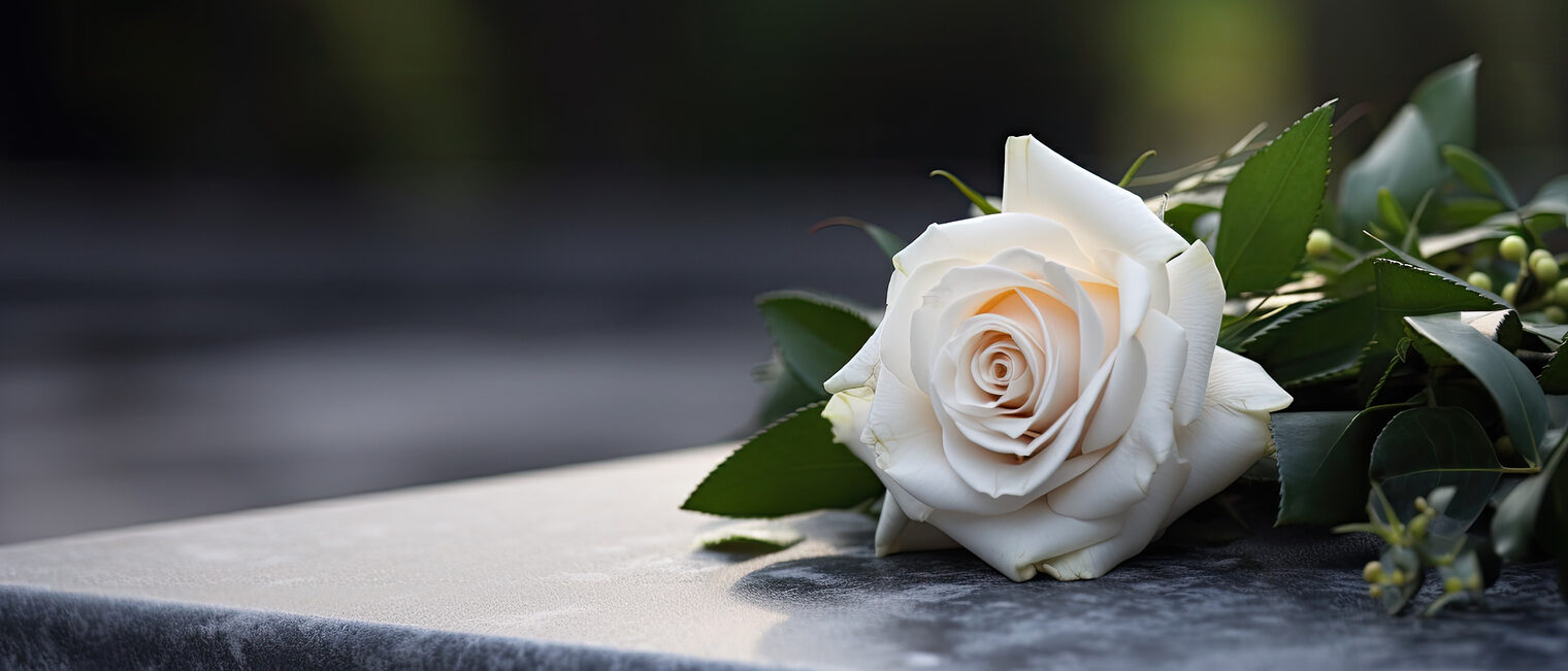 Auf einem Stein liegt eine weiße Rose.